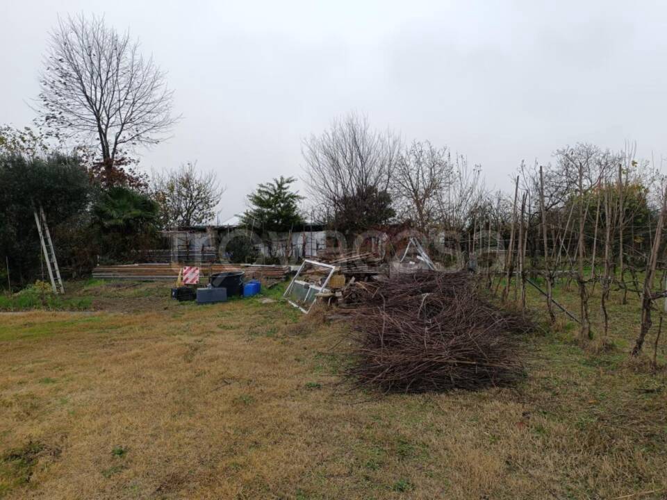 immagine annuncio 4 di 11