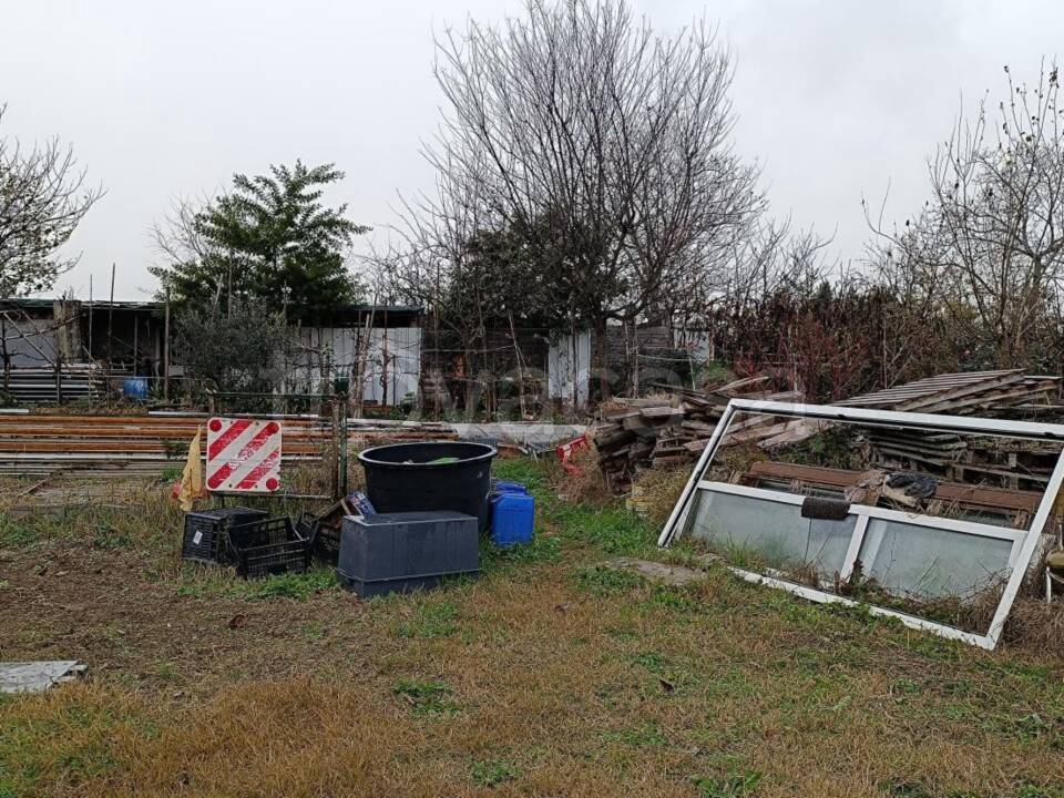 immagine annuncio 5 di 11