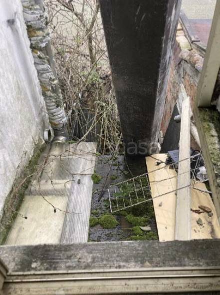 immagine annuncio 8 di 14