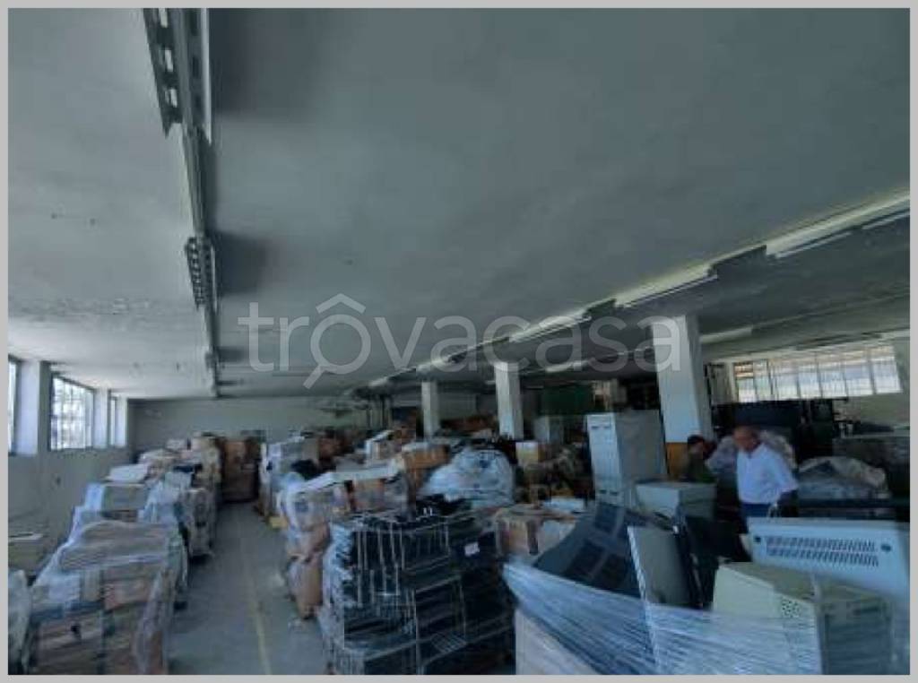 immagine annuncio 10 di 15