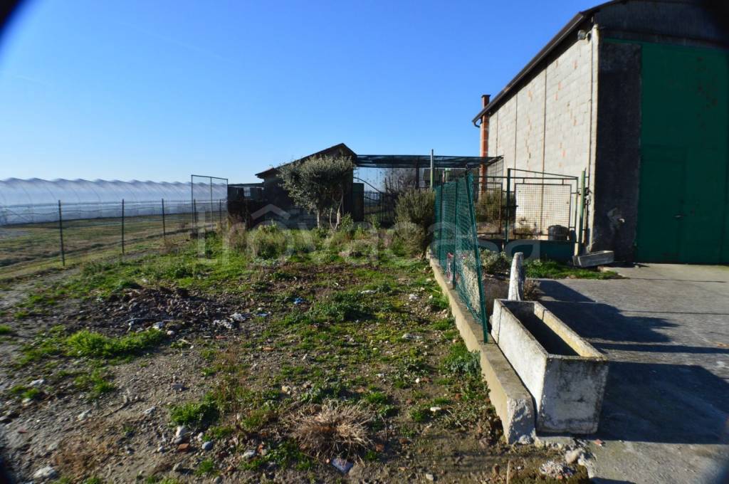 immagine annuncio 10 di 11