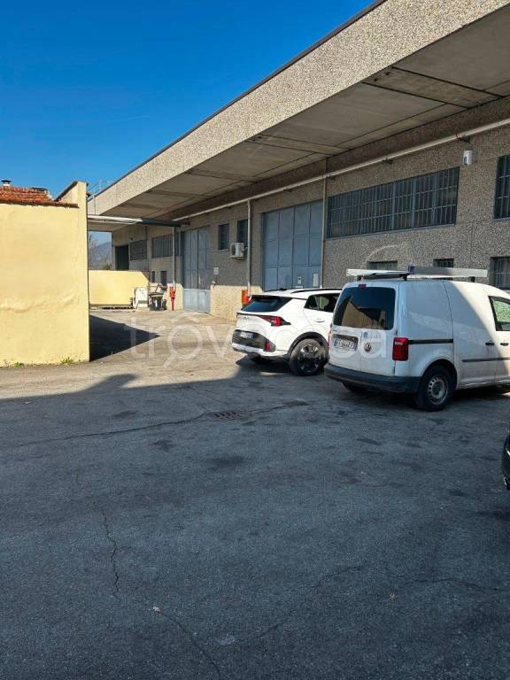 immagine annuncio 7 di 12
