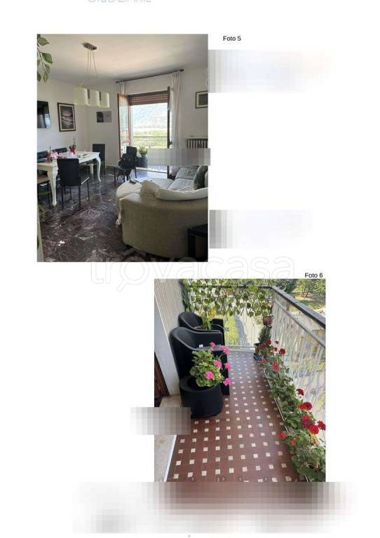 immagine annuncio 5 di 14