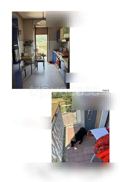 immagine annuncio 6 di 14