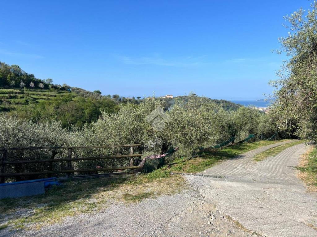 immagine annuncio 3 di 14