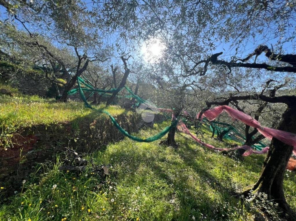 immagine annuncio 8 di 14