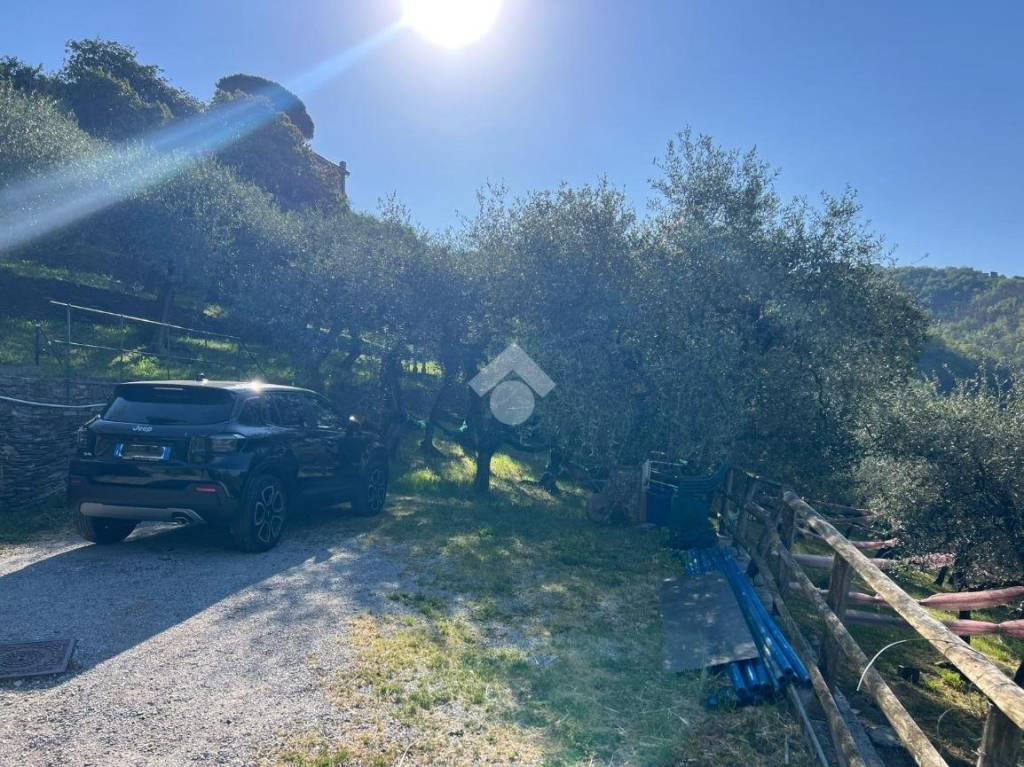 immagine annuncio 10 di 14