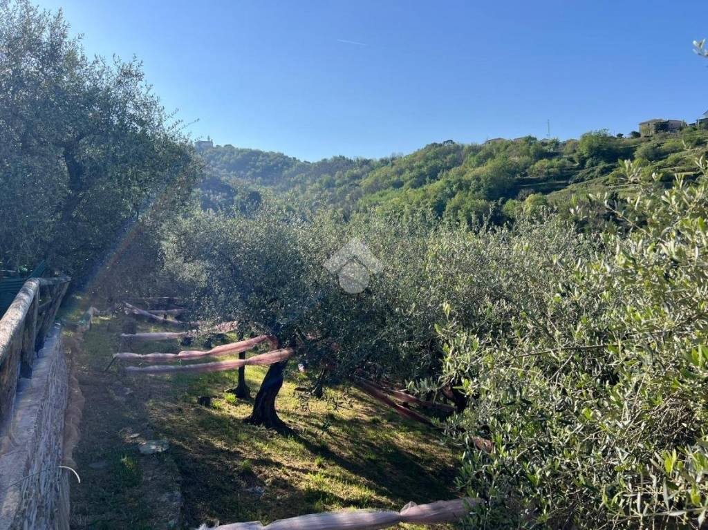 immagine annuncio 13 di 14