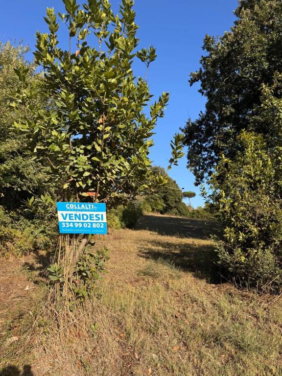 immagine annuncio 6 di 9