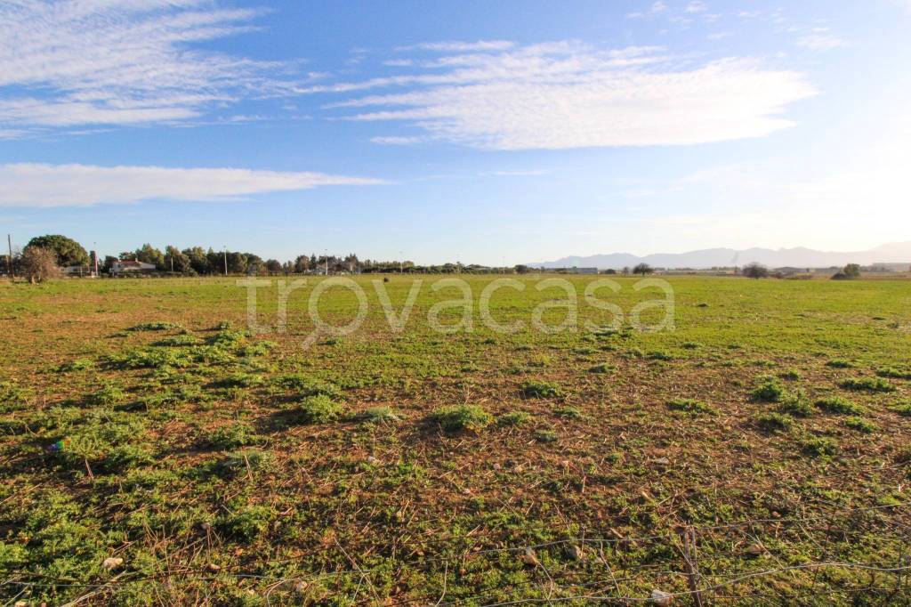 immagine annuncio 3 di 4