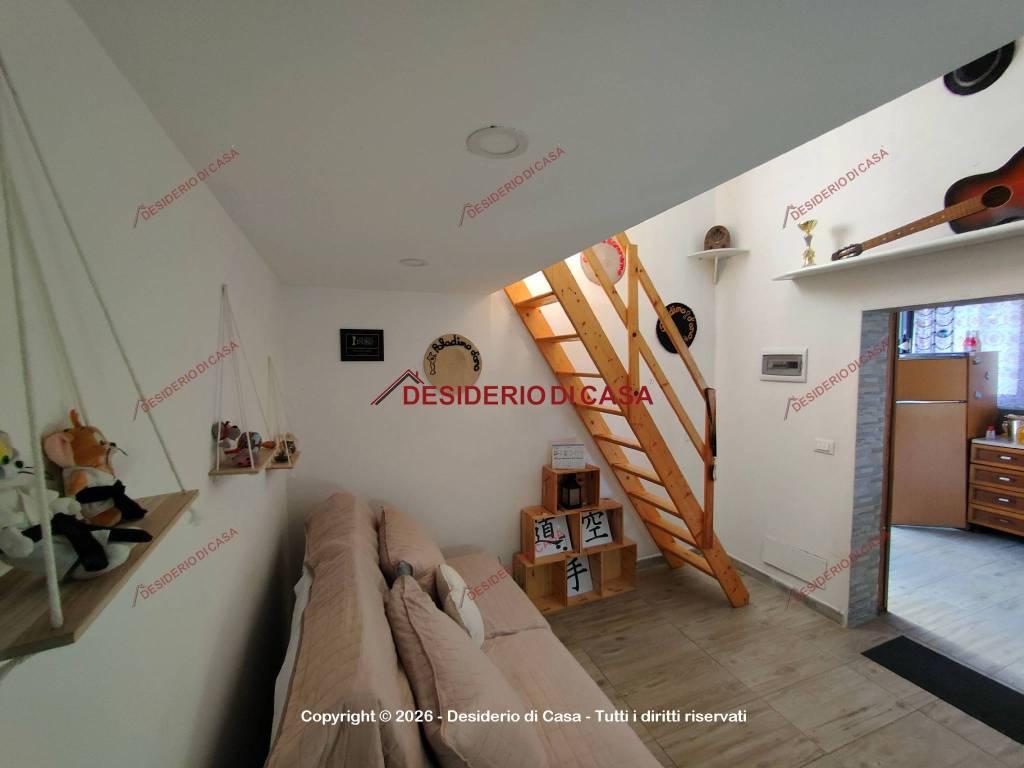 immagine annuncio 5 di 14