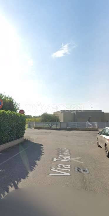 immagine annuncio 7 di 12