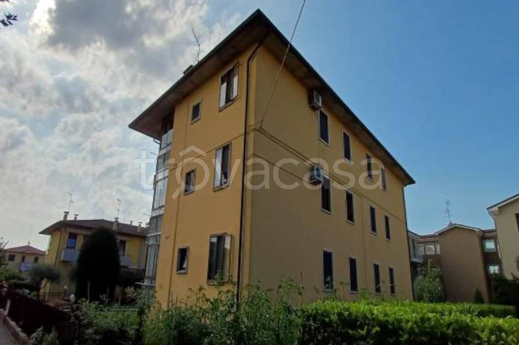 immagine annuncio 11 di 15