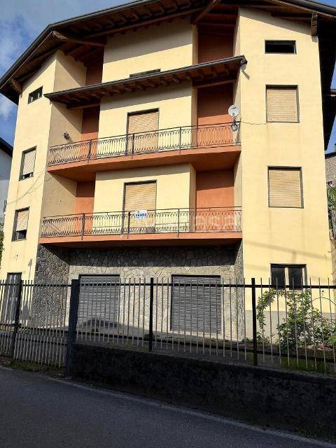 immagine annuncio 2 di 7