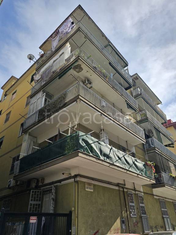 immagine annuncio 1 di 12