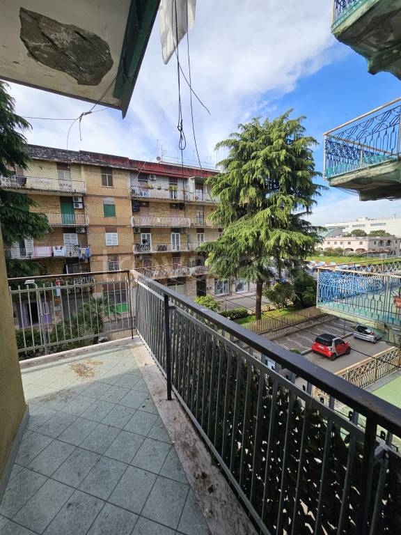 immagine annuncio 2 di 12