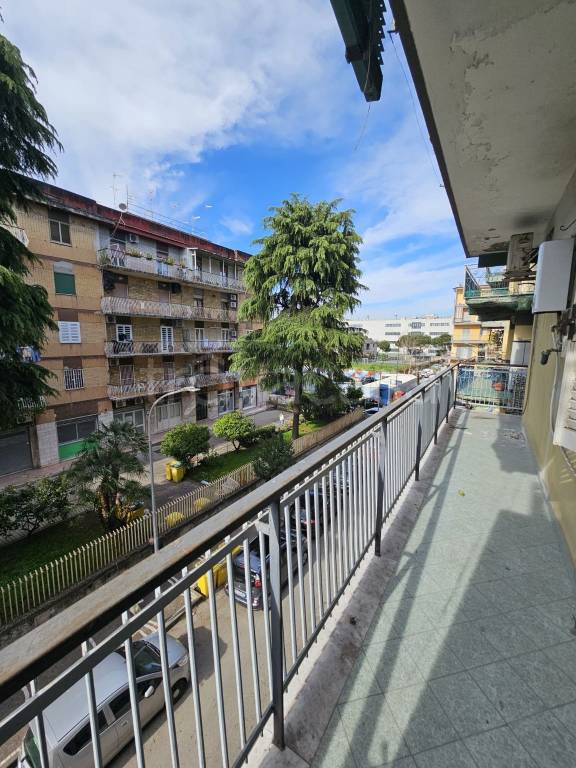 immagine annuncio 3 di 12