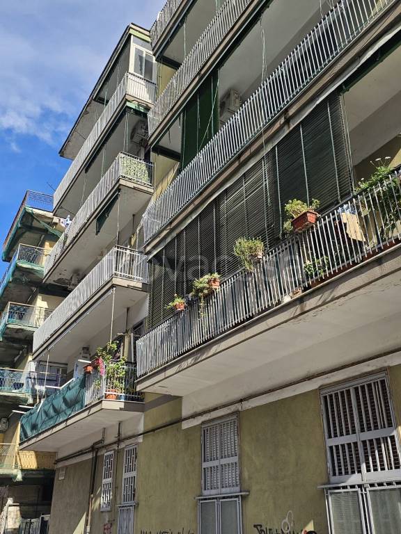 immagine annuncio 10 di 12