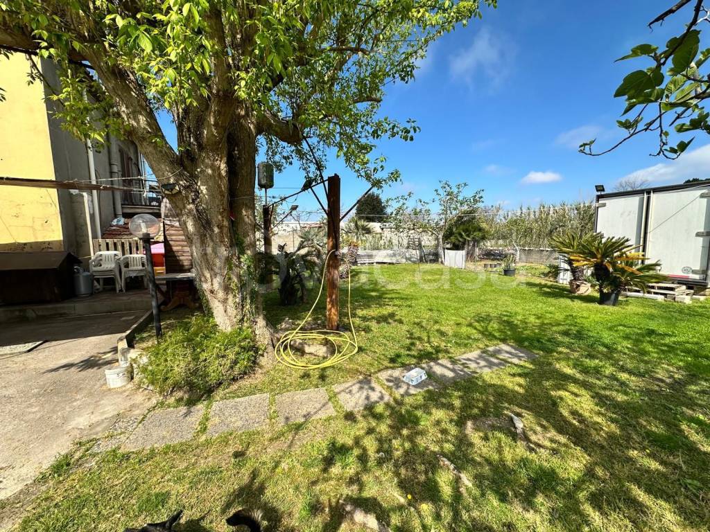 immagine annuncio 2 di 14