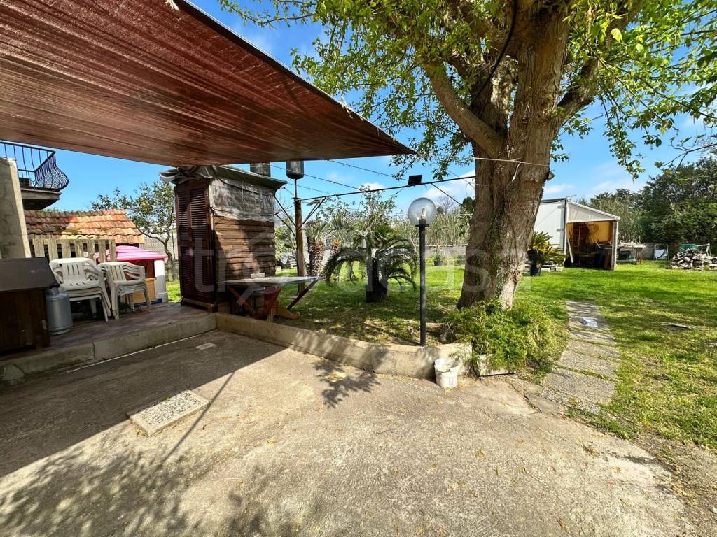 immagine annuncio 3 di 14