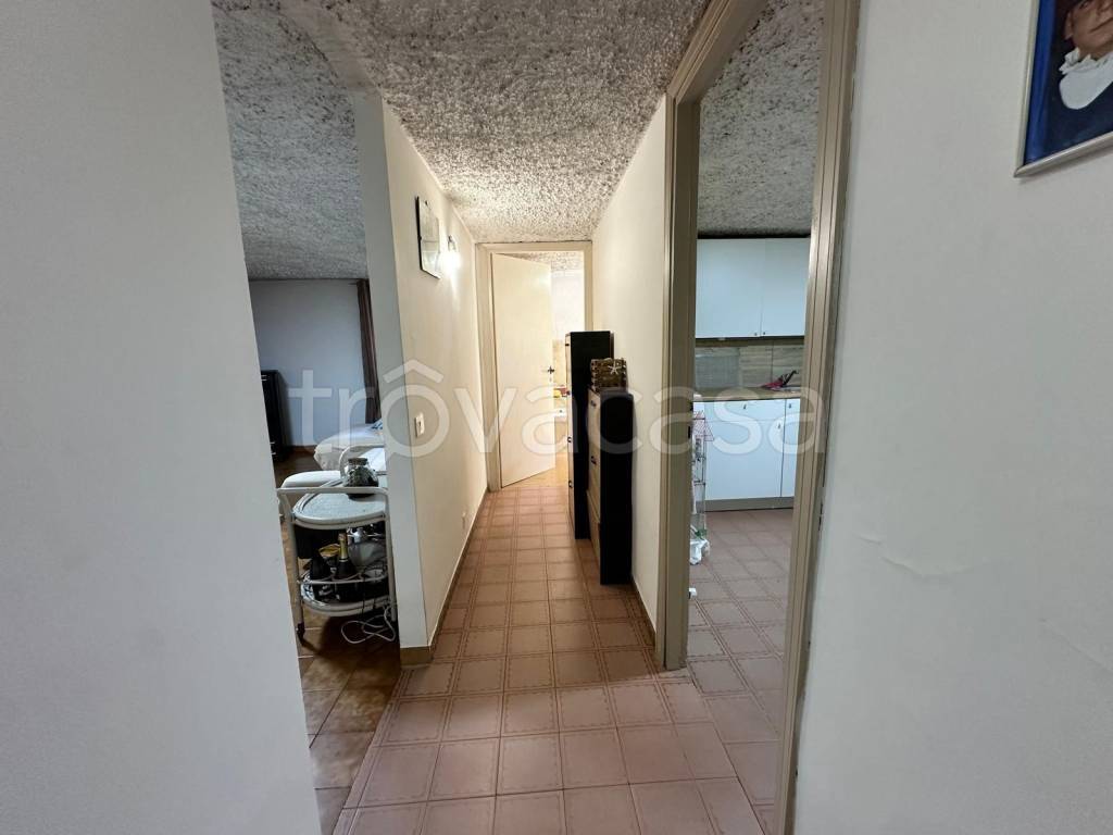 immagine annuncio 8 di 14