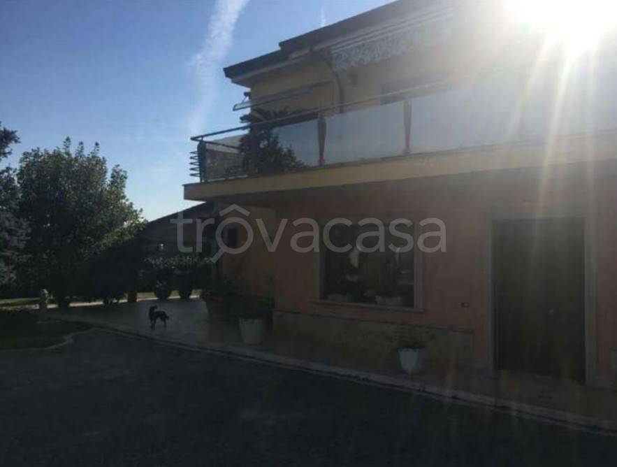 immagine annuncio 10 di 15