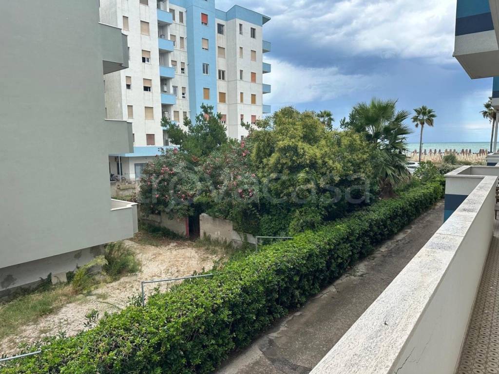 immagine annuncio 6 di 14