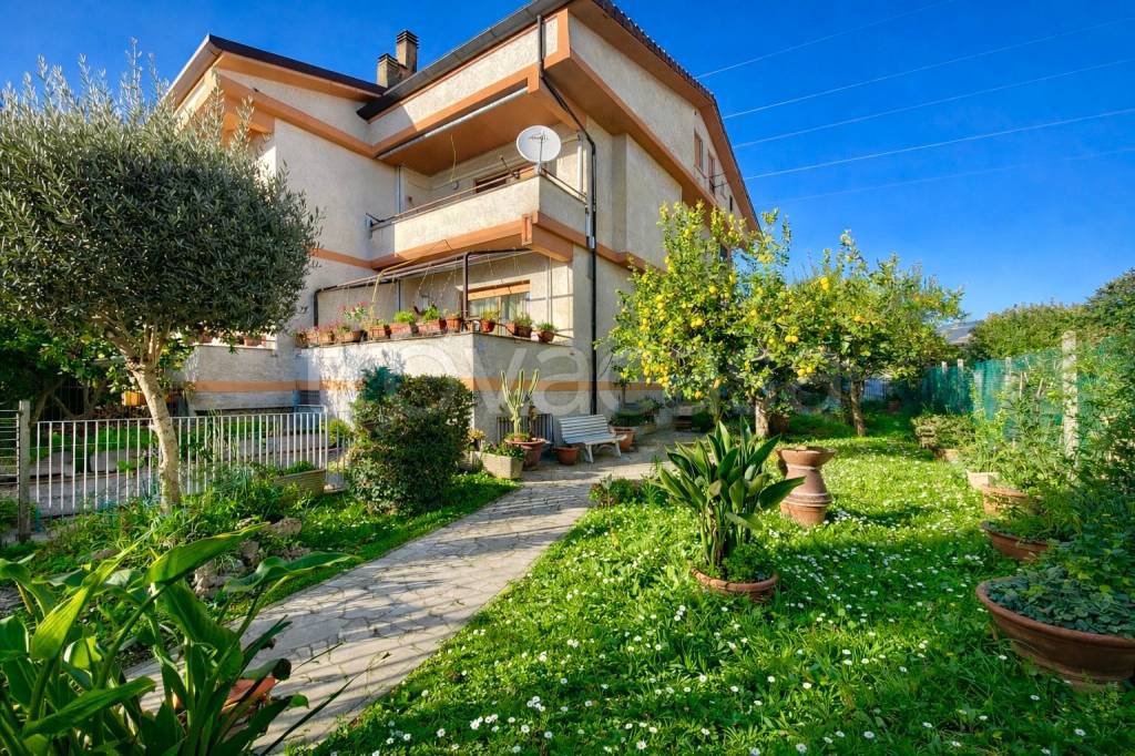 immagine annuncio 11 di 12