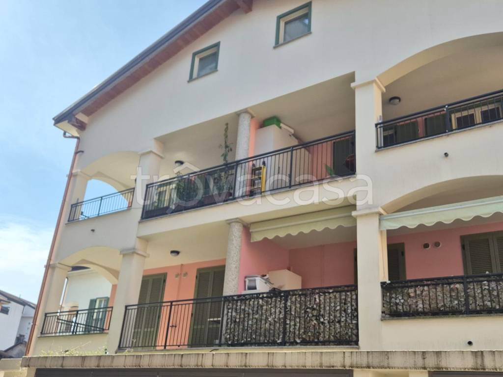 immagine annuncio 9 di 14