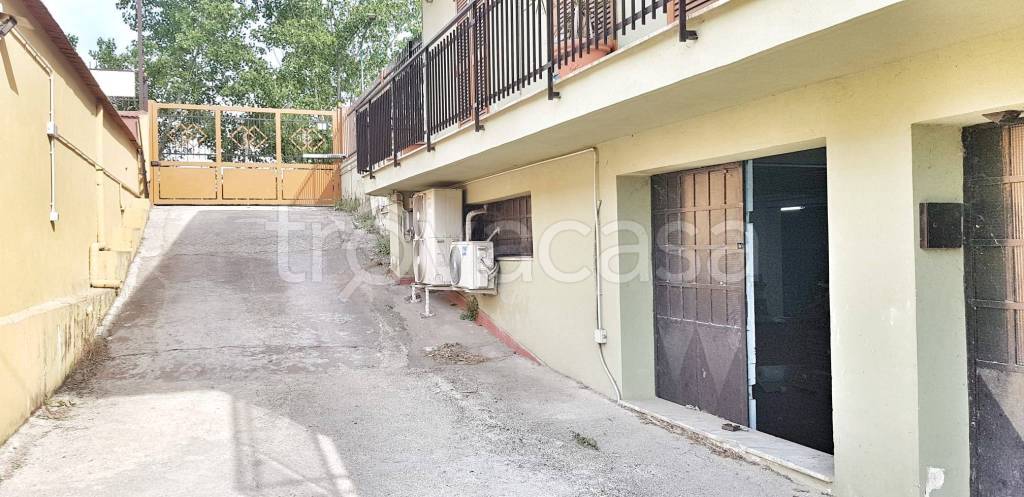 immagine annuncio 2 di 8