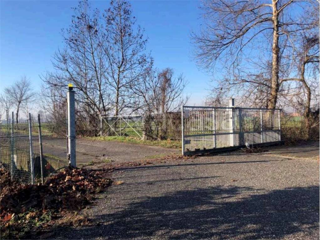 immagine annuncio 4 di 10