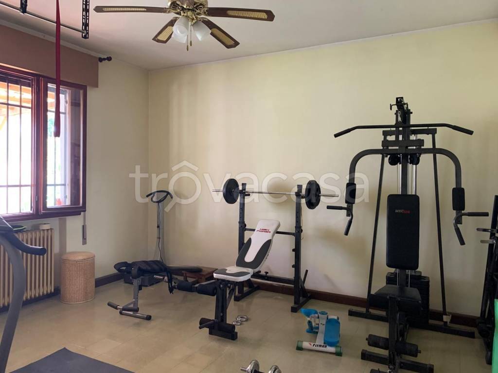 immagine annuncio 8 di 12