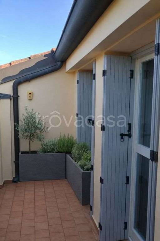 immagine annuncio 7 di 14