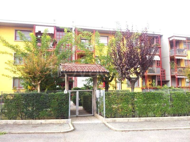 immagine annuncio 2 di 8