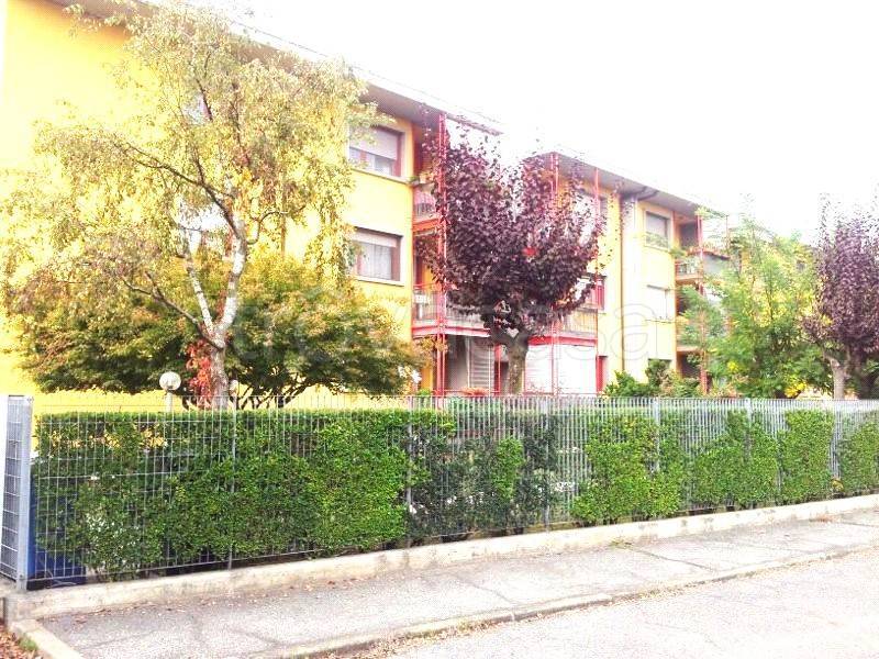 immagine annuncio 4 di 8