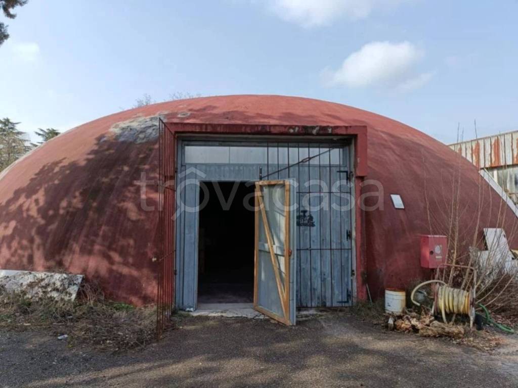 immagine annuncio 3 di 10