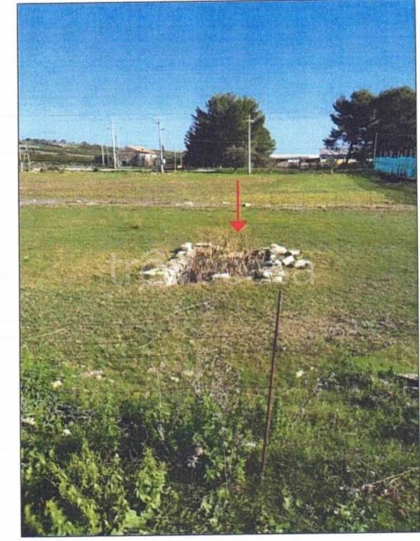 immagine annuncio 3 di 8