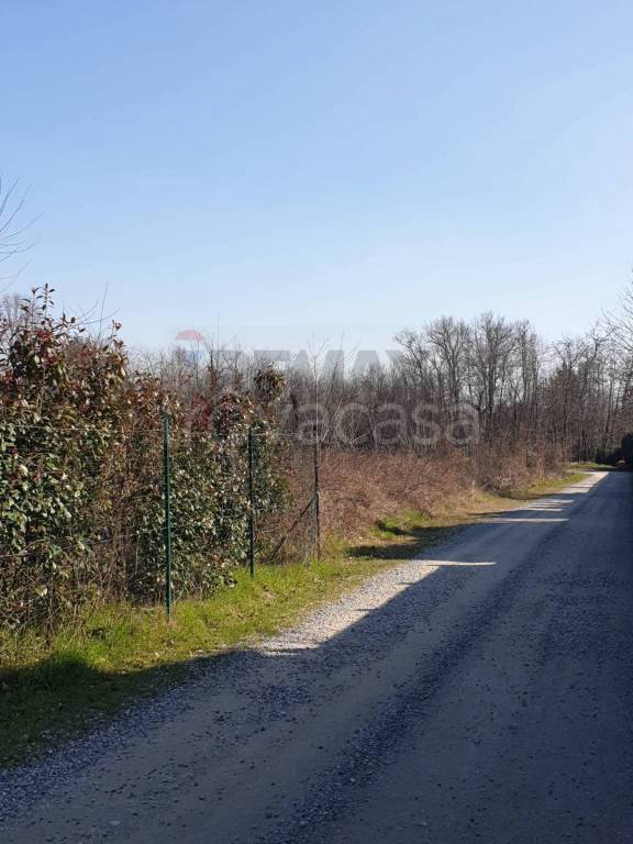 immagine annuncio 8 di 12
