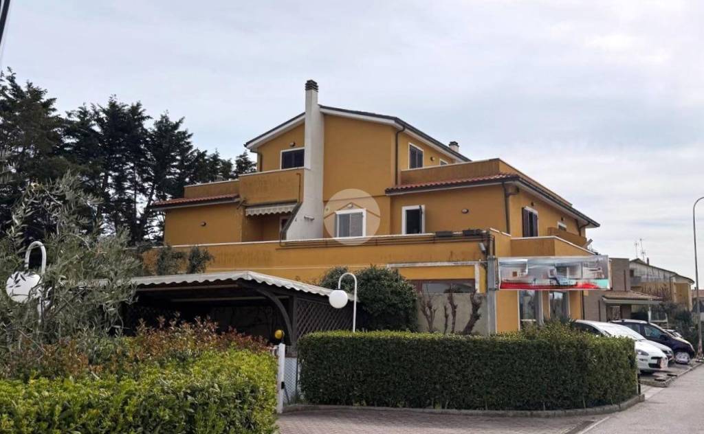 immagine annuncio 11 di 12