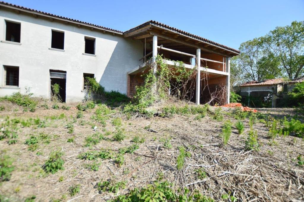 immagine annuncio 2 di 12