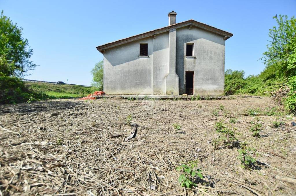 immagine annuncio 3 di 12