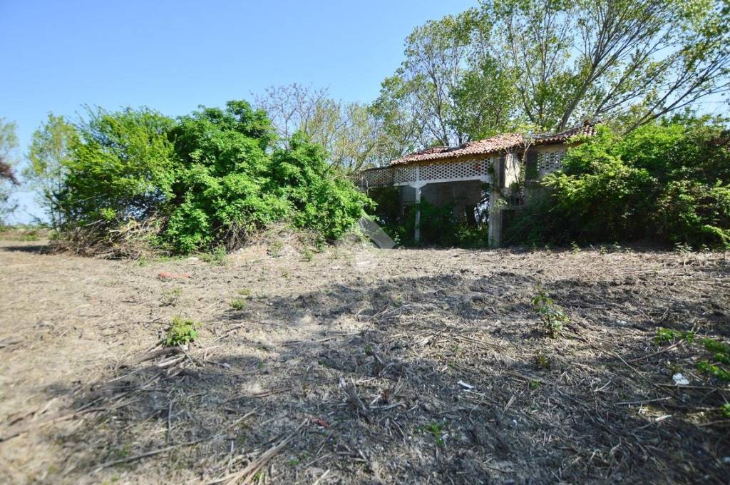 immagine annuncio 6 di 12