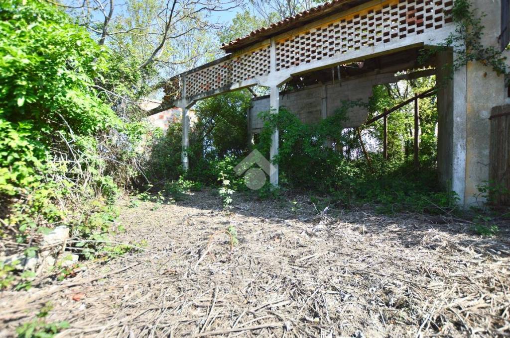 immagine annuncio 7 di 12