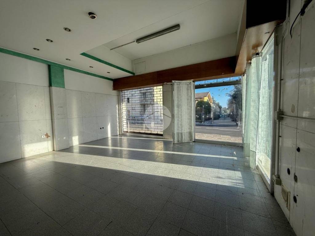 immagine annuncio 5 di 12