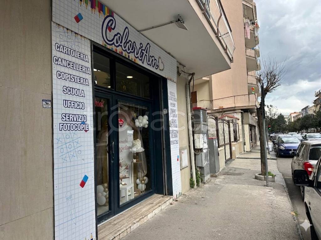 immagine annuncio 7 di 10