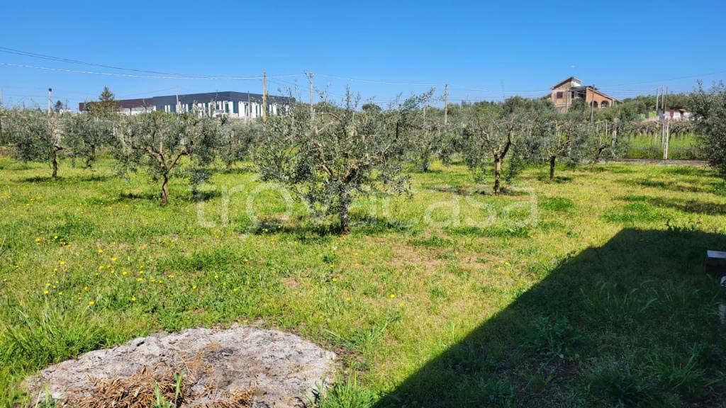 immagine annuncio 1 di 6