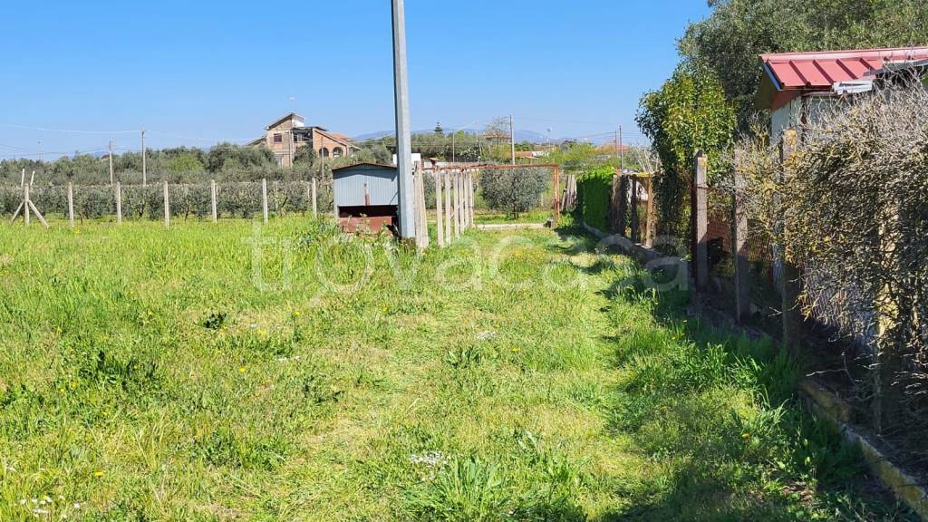 immagine annuncio 2 di 6