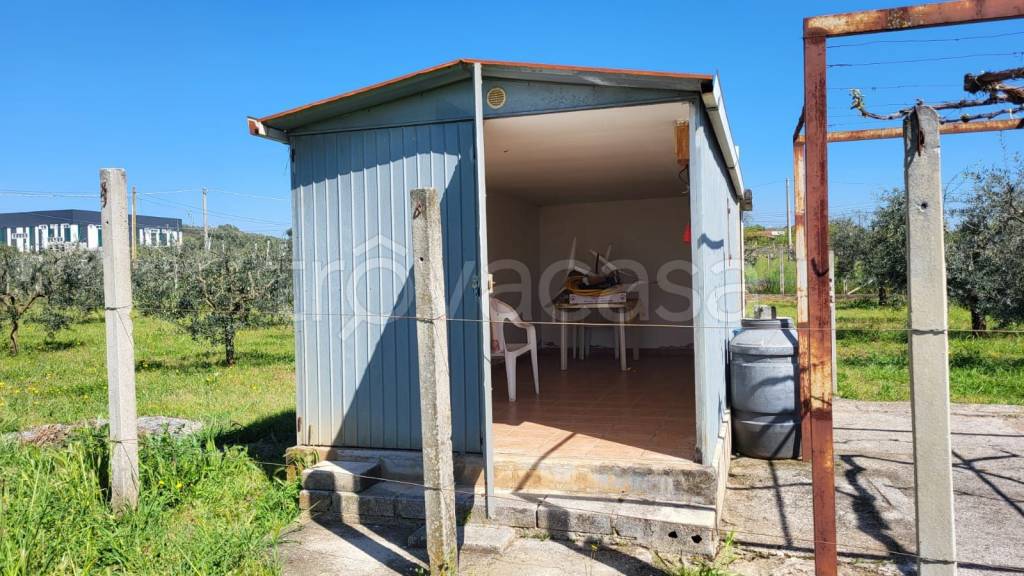 immagine annuncio 3 di 6