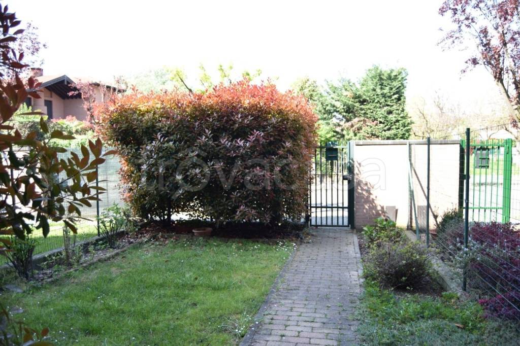 immagine annuncio 3 di 15