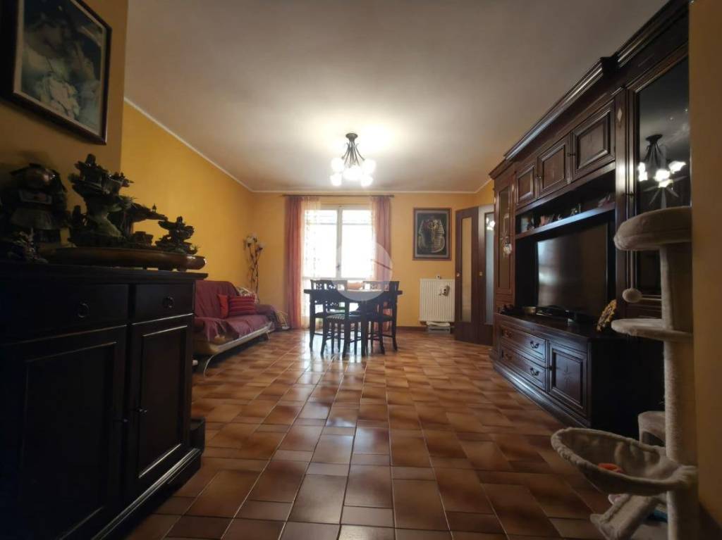 immagine annuncio 2 di 11